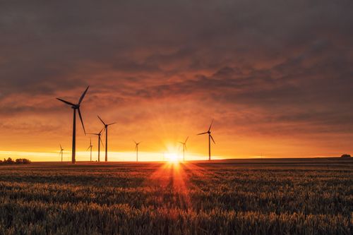 Renewable Energy: 4 Key Physical Security Considerations